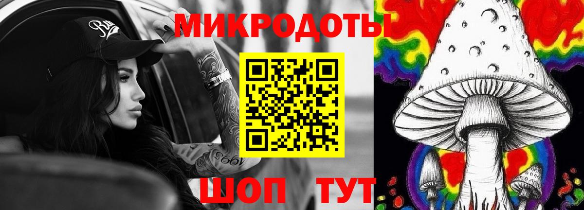 Оренбург  Галлюциногенные грибы Cubensis  Вход с VPN 