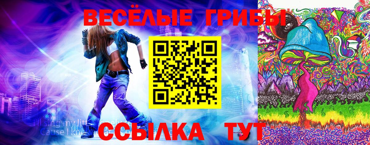 Галлюциногенные грибы Magic Shrooms Оренбург